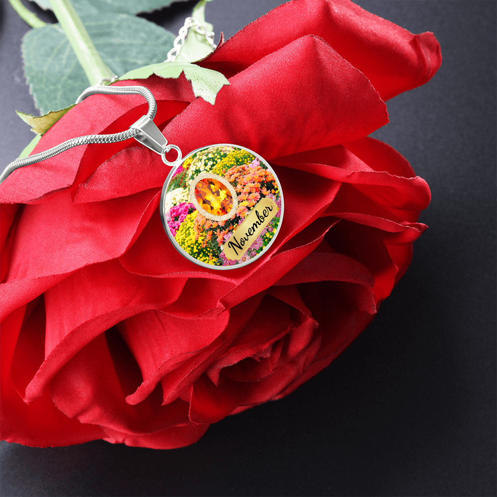 Birth Month Circle Pendant Necklace: November